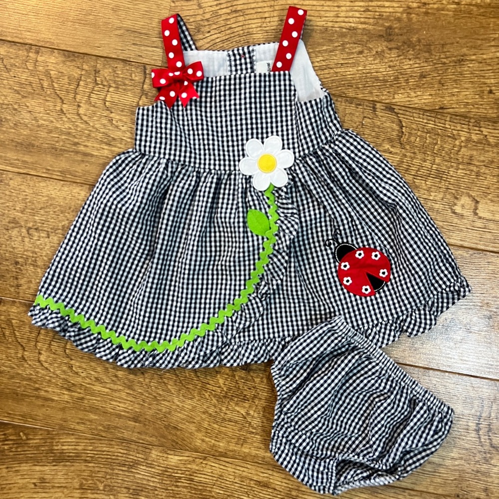 Baby Girl Daisy Ladybug Appliqued Checked Seersucker Dress, with bloomers 12m